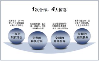 雙百行動(dòng)與國(guó)企轉(zhuǎn)型 信息咨詢服務(wù)產(chǎn)品手冊(cè)深度解讀